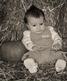 Toddler at Holiday Time - B&W